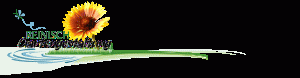 Logo Reinisch