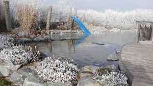 winter-teich