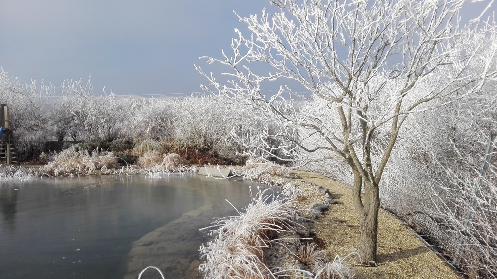 winter-teich