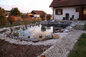 kleiner Schwimmteich Badvöslau