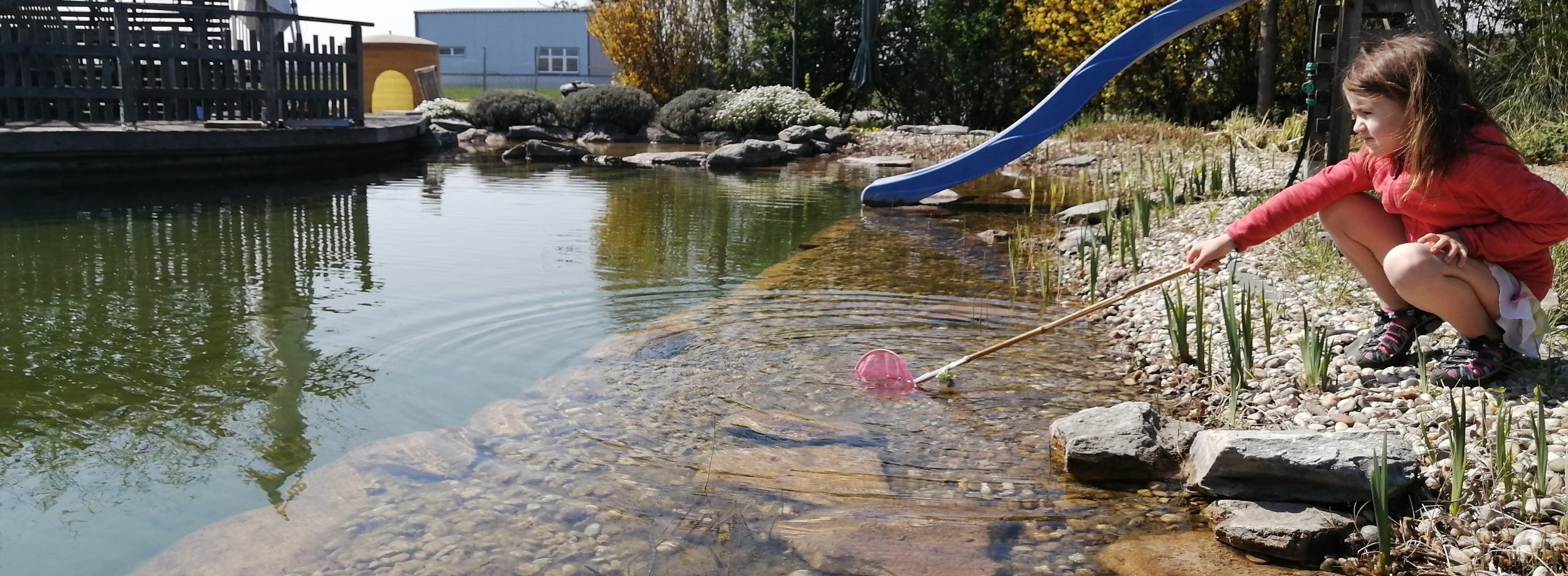 Schwimmteich – Erholungsraum für Mensch und Tier