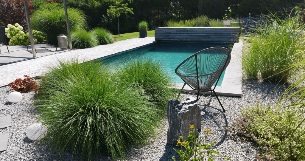 Naturpool mit Sitplatz