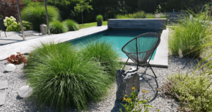 Naturpool mit Sitplatz